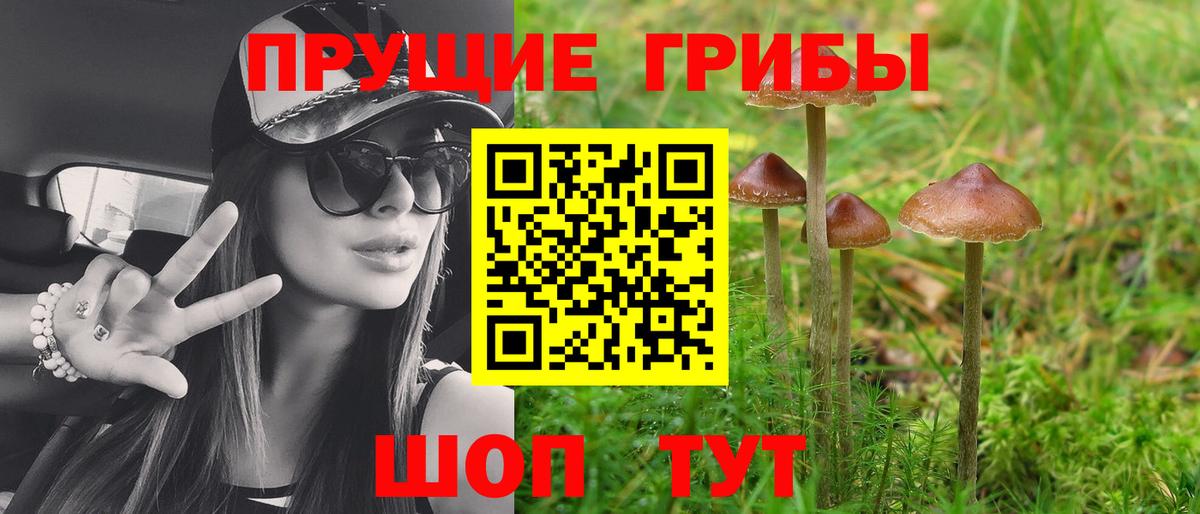 Псилоцибиновые грибы GOLDEN TEACHER Бузулук