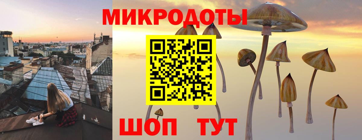 Бузулук  Псилоцибиновые грибы мухоморы  Вход с VPN 